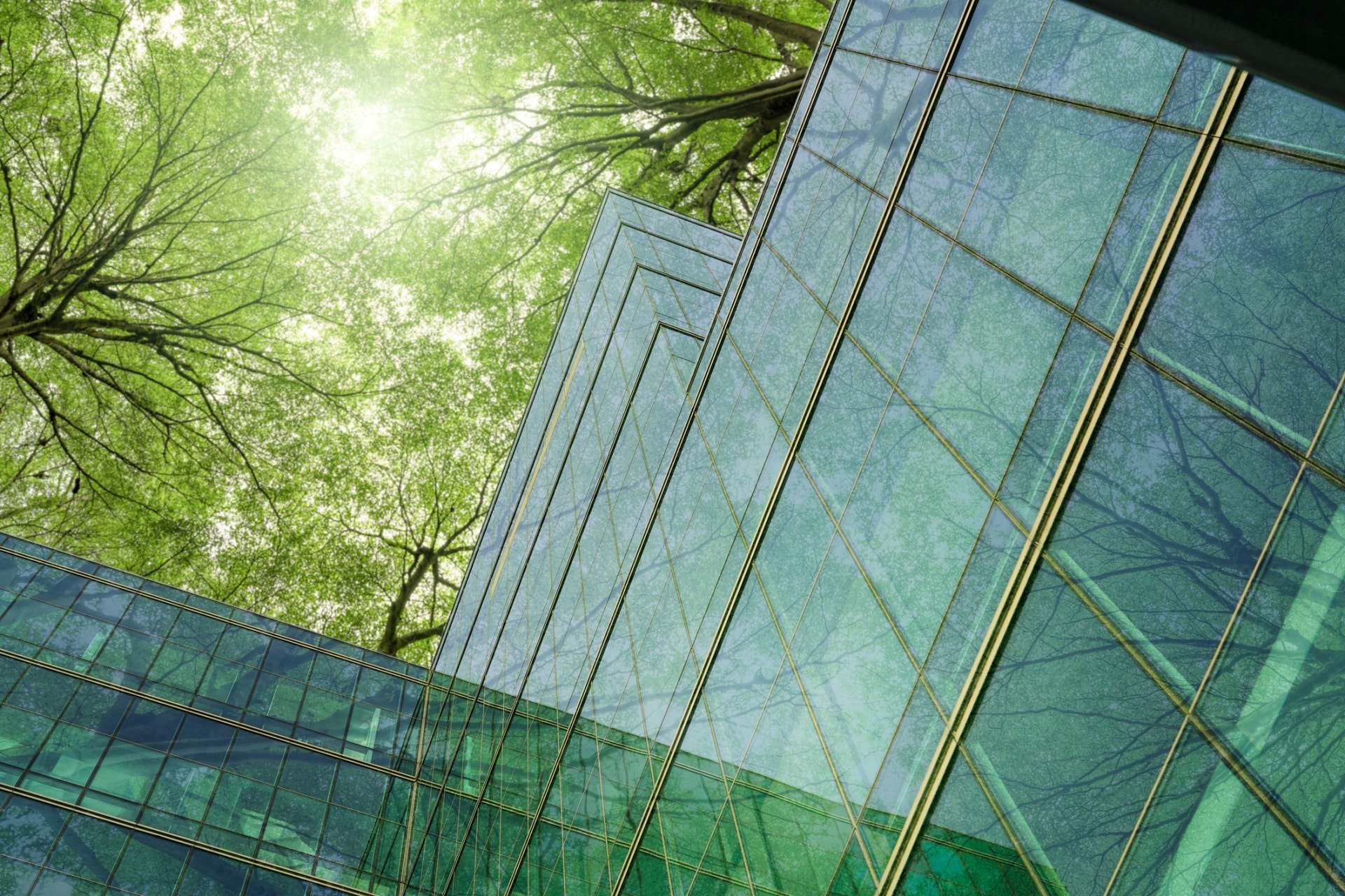 Ein modernes Glasgebäude spiegelt die grünen Bäume über ihm wider und verschmilzt mit dem Laubdach und dem Sonnenlicht, während es gleichzeitig innovative Energielösungen für eine harmonische und nachhaltige Umwelt präsentiert.
